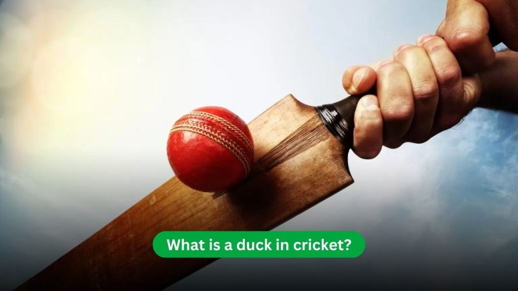 duck in cricket