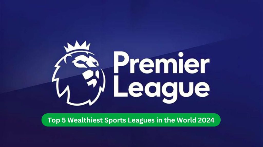 Top 5 Wealthiest Sports Leagues in the World 2024