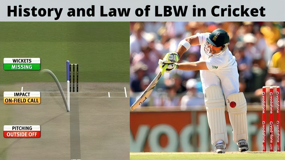 LBW Rules