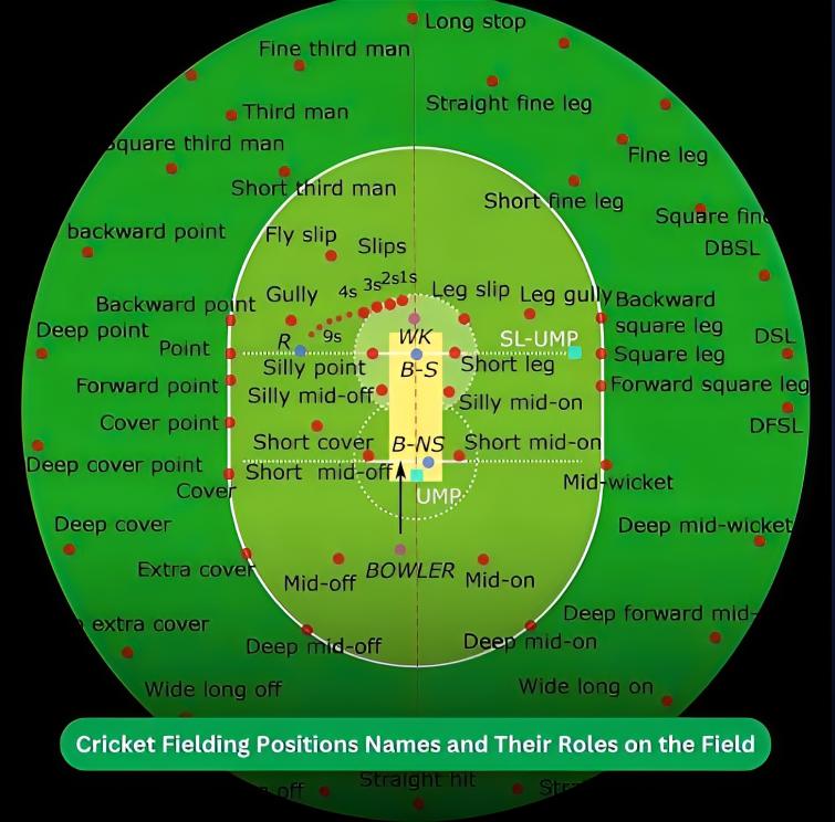 Cricket Fielding Positions