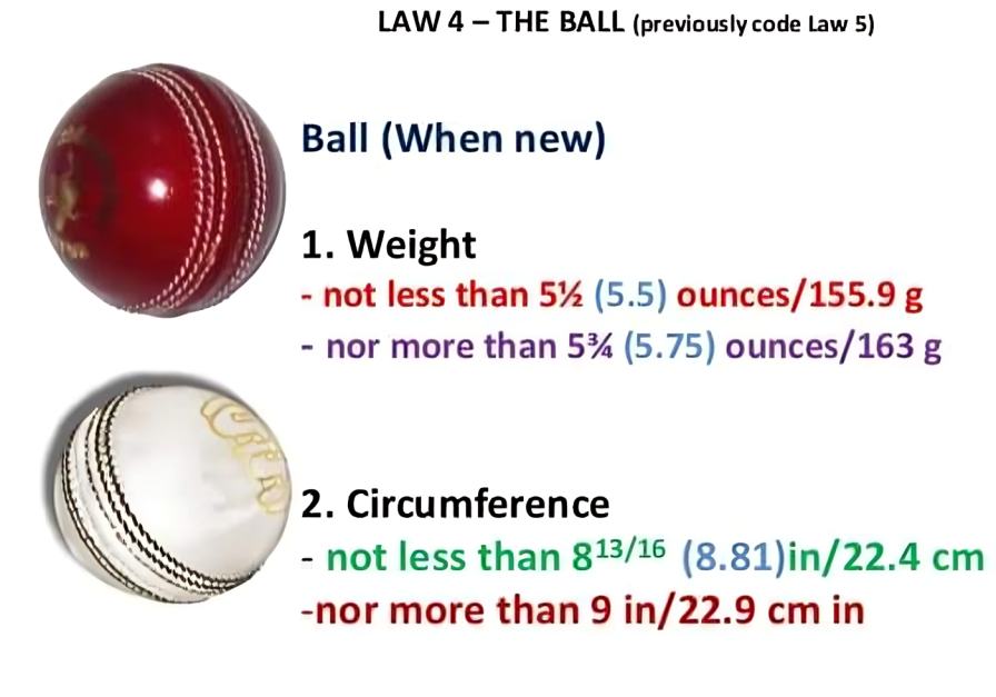 Cricket Ball Weight & Dimensions