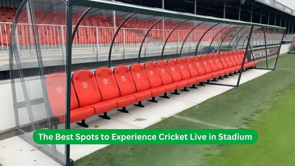 The Best Spots to Experience Cricket Live in Stadium