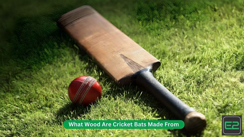 What Wood Are Cricket Bats Made From