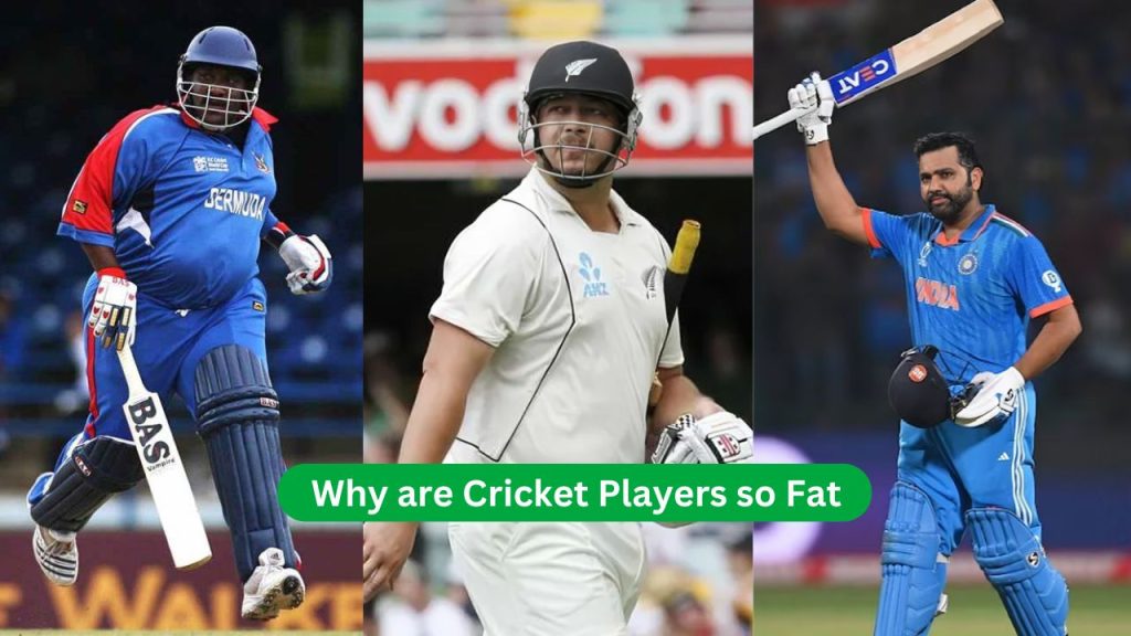 Why are Cricket Players so Fat