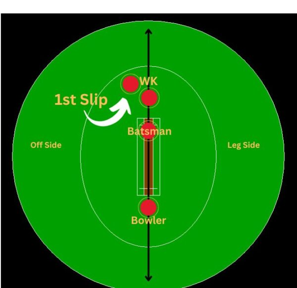 Cricket fielding positions